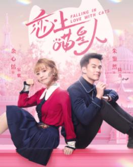 全民烧脑3去广告版